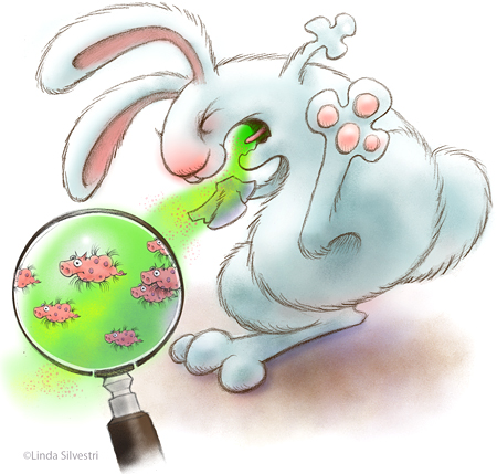 easter bunny cartoon drawing. Tags: unny, cartoon